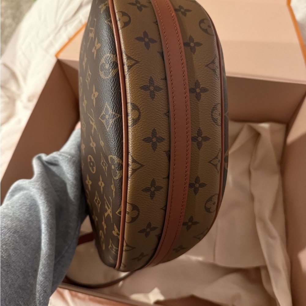 Louis Vuitton Monogram Loop Hobo - Like New - Picture 4 of 8